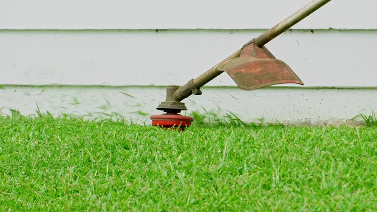 Best Commercial Tree Services  in Itasca, TX